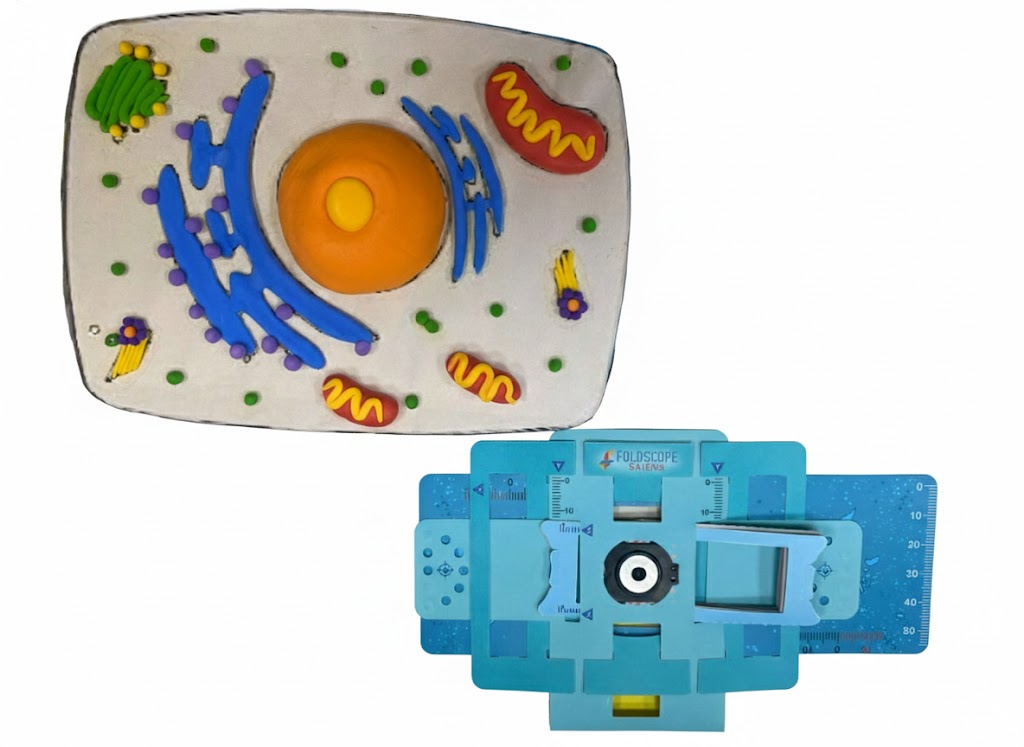 【營隊課程】科學微觀大發現